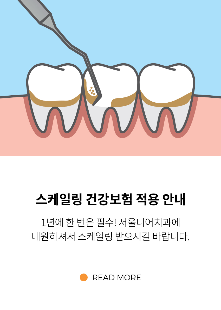 뉴스3